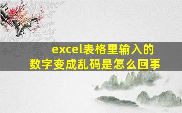 excel表格里输入的数字变成乱码是怎么回事