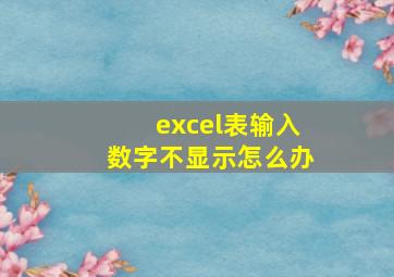 excel表输入数字不显示怎么办