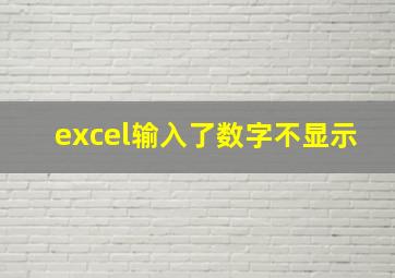 excel输入了数字不显示