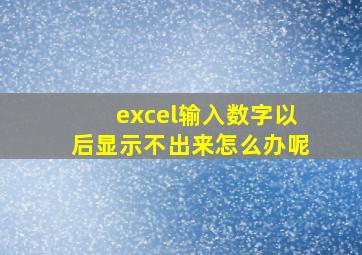 excel输入数字以后显示不出来怎么办呢