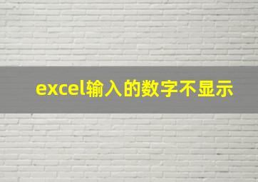 excel输入的数字不显示