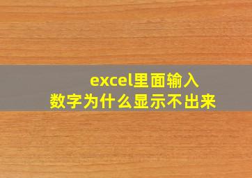 excel里面输入数字为什么显示不出来