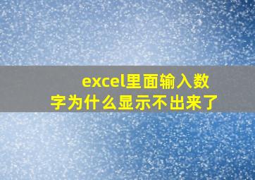 excel里面输入数字为什么显示不出来了