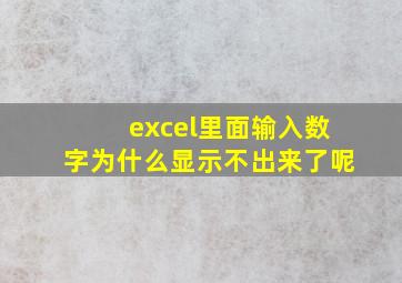 excel里面输入数字为什么显示不出来了呢