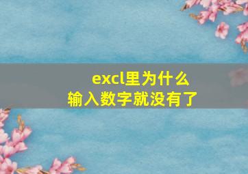 excl里为什么输入数字就没有了