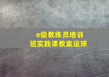 e级教练员培训班实践课教案运球