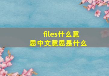 files什么意思中文意思是什么