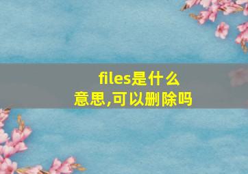 files是什么意思,可以删除吗