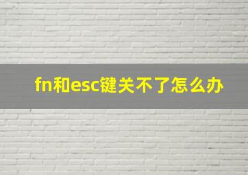 fn和esc键关不了怎么办