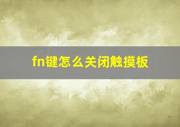 fn键怎么关闭触摸板