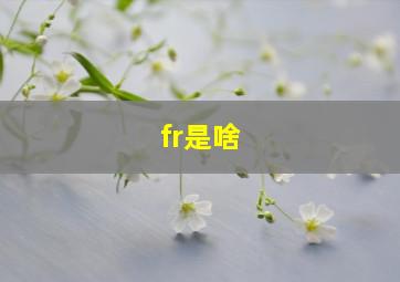 fr是啥