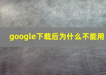 google下载后为什么不能用