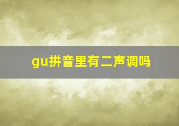 gu拼音里有二声调吗