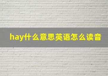 hay什么意思英语怎么读音