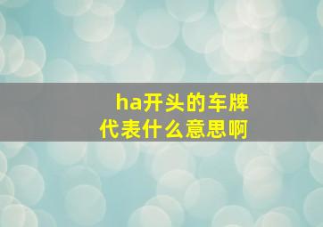 ha开头的车牌代表什么意思啊