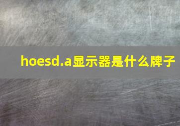 hoesd.a显示器是什么牌子