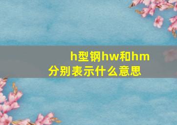 h型钢hw和hm分别表示什么意思