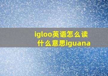 igloo英语怎么读什么意思iguana