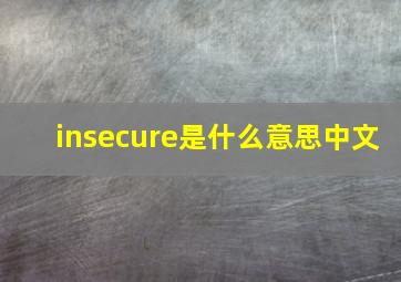 insecure是什么意思中文