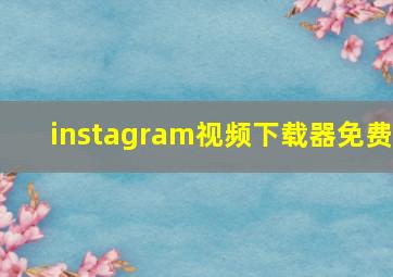 instagram视频下载器免费