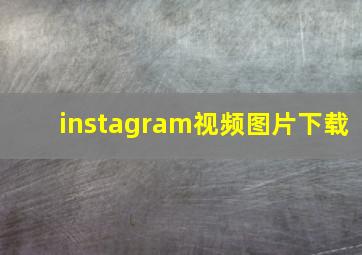 instagram视频图片下载