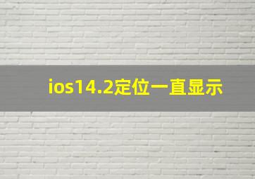 ios14.2定位一直显示