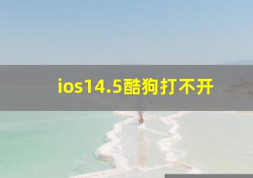 ios14.5酷狗打不开