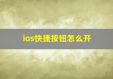 ios快捷按钮怎么开