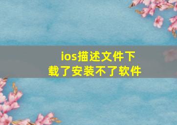 ios描述文件下载了安装不了软件