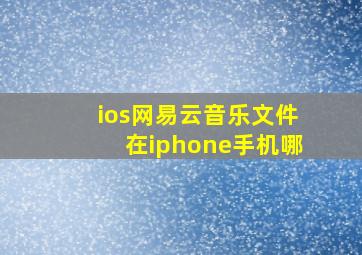 ios网易云音乐文件在iphone手机哪