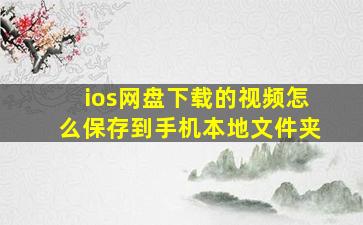 ios网盘下载的视频怎么保存到手机本地文件夹