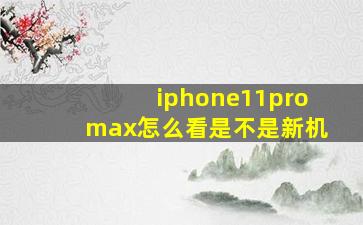 iphone11promax怎么看是不是新机