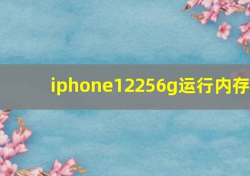 iphone12256g运行内存