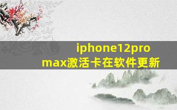 iphone12promax激活卡在软件更新