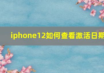 iphone12如何查看激活日期