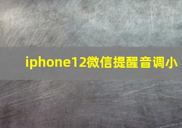 iphone12微信提醒音调小