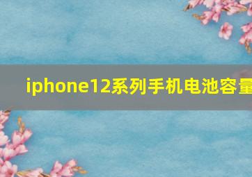 iphone12系列手机电池容量