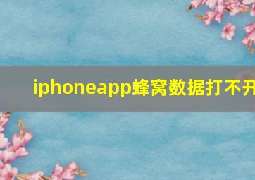 iphoneapp蜂窝数据打不开