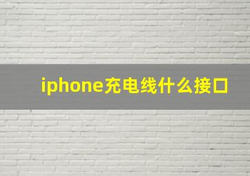 iphone充电线什么接口