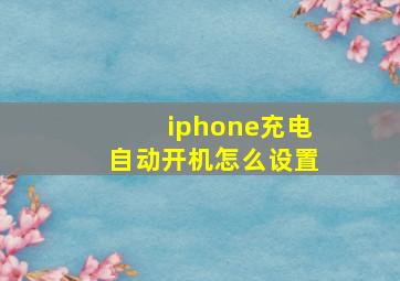 iphone充电自动开机怎么设置