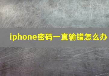 iphone密码一直输错怎么办