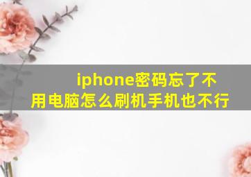 iphone密码忘了不用电脑怎么刷机手机也不行