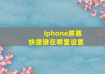 iphone屏幕快捷键在哪里设置