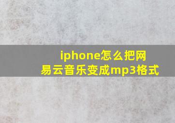 iphone怎么把网易云音乐变成mp3格式