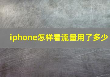 iphone怎样看流量用了多少