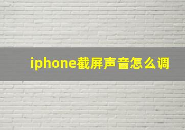 iphone截屏声音怎么调