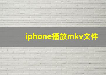 iphone播放mkv文件