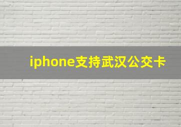 iphone支持武汉公交卡