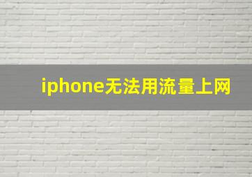 iphone无法用流量上网