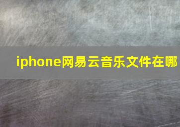 iphone网易云音乐文件在哪